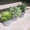 Set of 3 Small Potted Artificial Succulents – Faux Mini Succulent Arrangement in Black & White Geometric Concrete Pots for Modern Home, Office, Windowsill & Table Decor